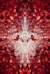 Image showing Gorgeous Abstract Floral Mirror Pattern From Red Leaves And Dew 