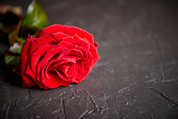 Image showing Fresh red rose flower on the white wooden table