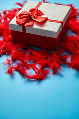 Image showing Box with a gift, tied with a ribbon placed on red feathers