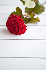 Image showing Fresh red rose flower on the white wooden table