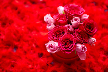 Image showing Pink roses packed in box and placed on red feathers background with copy space