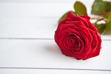 Image showing Fresh red rose flower on the white wooden table