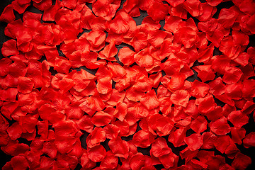 Image showing Background of beautiful red rose petals. Top view