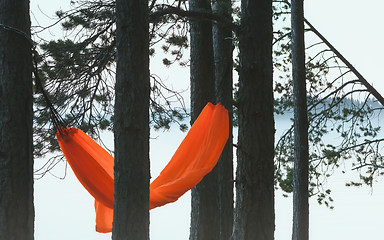 Image showing Hammock Against A Foggy Landscape With A Lake