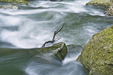 Image showing Water torrent