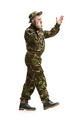 Image showing Young army soldier wearing camouflage uniform isolated on white