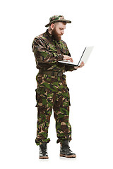 Image showing Young army soldier wearing camouflage uniform isolated on white