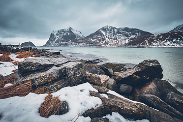 Image showing Rocky coast of fjord in Norway