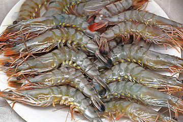 Image showing Tiger Shrimps