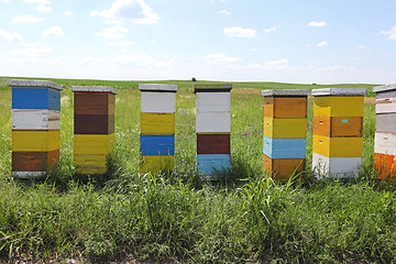 Image showing Wooden Beehive