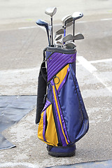 Image showing Golf Clubs in Bag