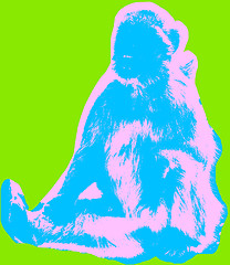 Image showing Ape picture