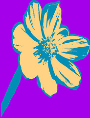 Image showing Flower picture