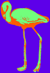 Image showing Flamingo picture over green background