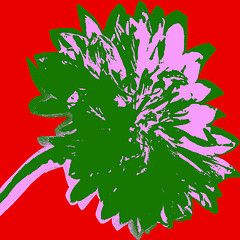 Image showing Cornflower picture