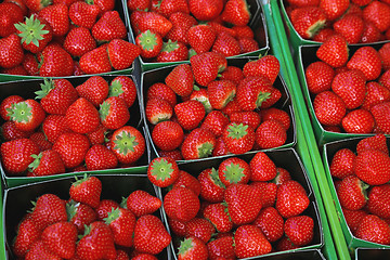 Image showing Strawberries