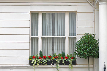 Image showing Window in London