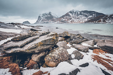 Image showing Rocky coast of fjord in Norway