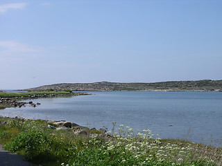 Image showing Westcoast In Sweden