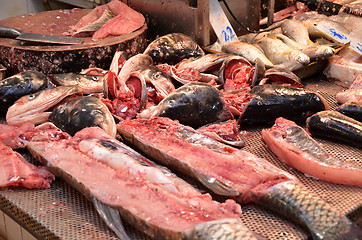 Image showing Fish sold on market place 