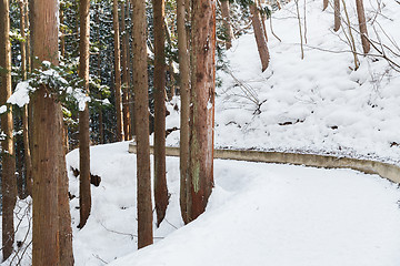 Image showing snow path in winter forest, japan