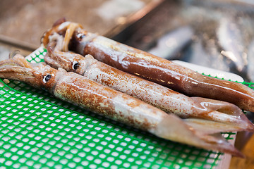 Image showing close up of fresh squids at japanese street market