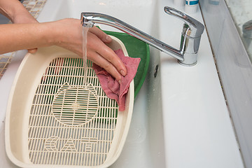 Image showing The girl washes the side of the cat tray grate in the sink