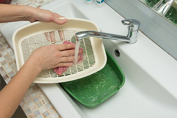 Image showing The girl washes the cat tray in the sink