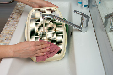 Image showing The girl washes the bottom of the cat\'s lattice