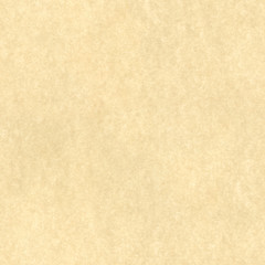 Image showing Beige Parchment Background