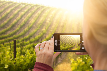 Image showing Woman Taking Pictures of A Grape Vineyard with Her Smart Phone