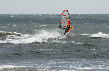 Image showing surfing