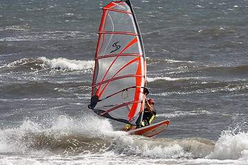 Image showing surfing