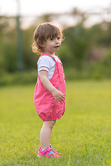 Image showing little girl spending time at backyard