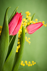 Image showing Spring bouquet with mimosa and tulips