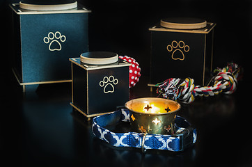 Image showing Black Cremation urn for pets