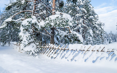 Image showing Snow-covered landscape in the countryside. Viitna, Estonia