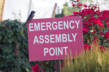 Image showing Red emergency assembly point sign