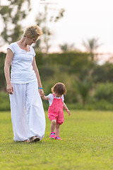 Image showing mother and little daughter playing at backyard