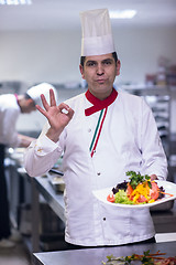 Image showing Chef showing a plate of tasty meal