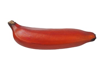 Image showing Red banana on white