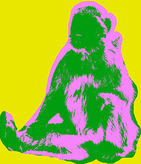 Image showing Ape picture