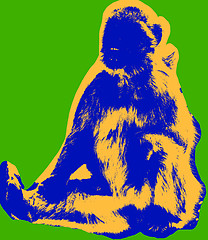 Image showing Ape picture