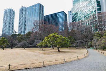 Image showing hamarikyu gardens park in tokyo, japan