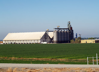 Image showing Grain storage bins and sheds in field