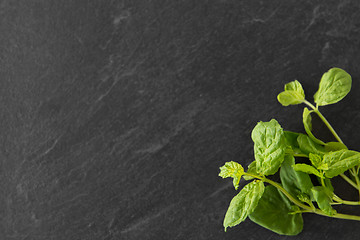 Image showing green mint leaves on stone background