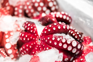 Image showing close up of octopus at fish market