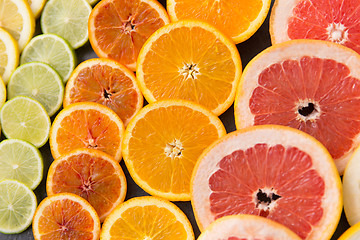 Image showing close up of different citrus fruit slices