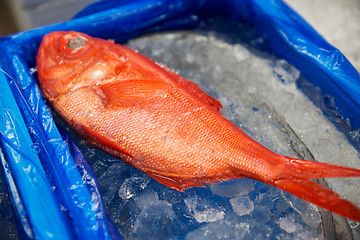 Image showing fresh fish or seafood at japanese street market