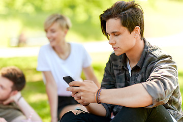 Image showing man using smartphone at picnic with friends